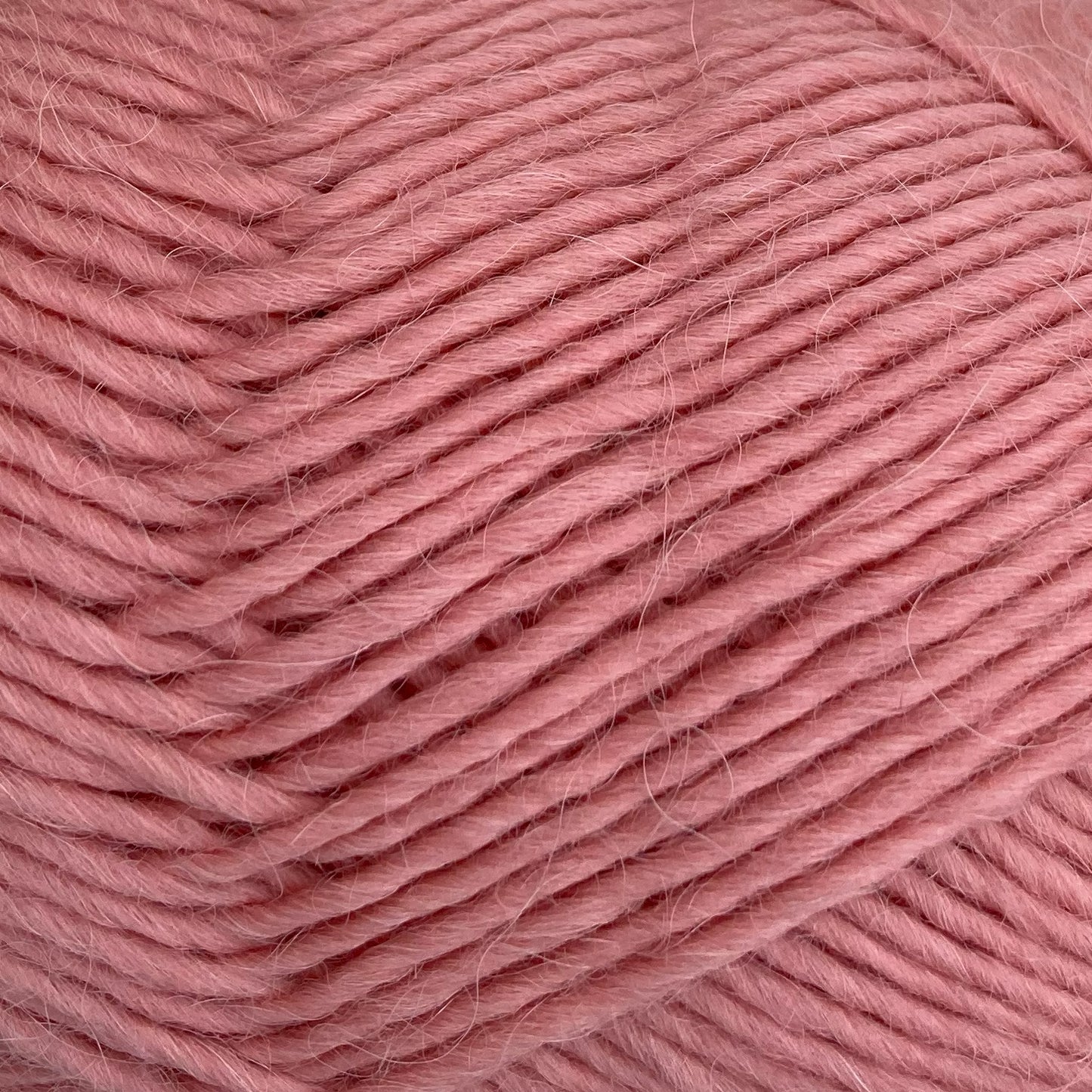 CaMaRose Lamauld