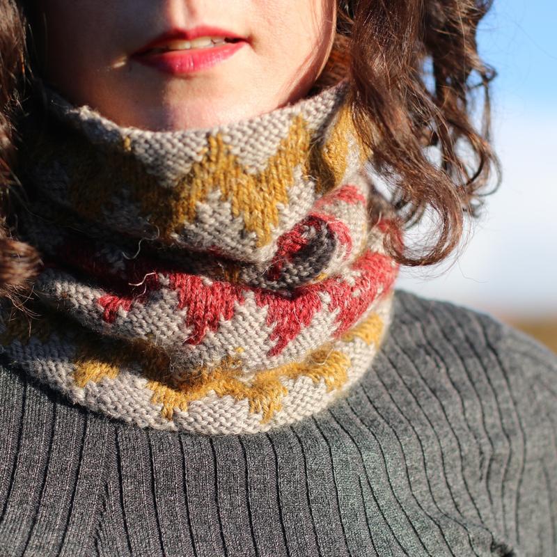 Nua Collection Vol. 1 by Carol Feller