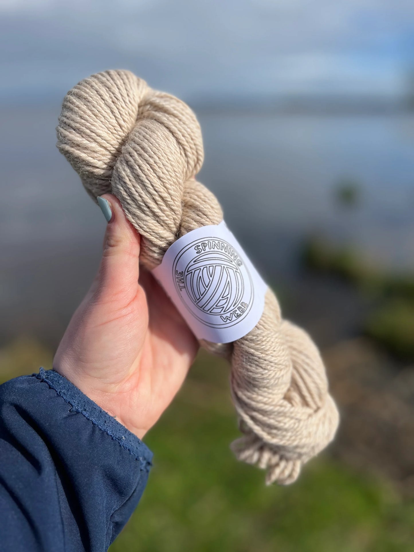 The Spinning Webb Alpaca DK Naturally Dyed