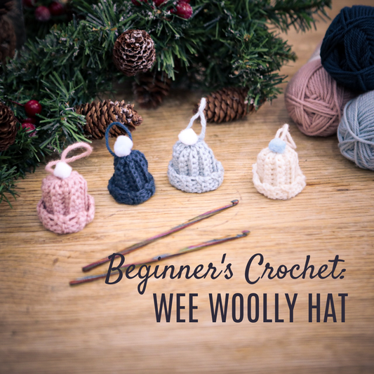 Beginner's Crochet: Wee Woolly Hat