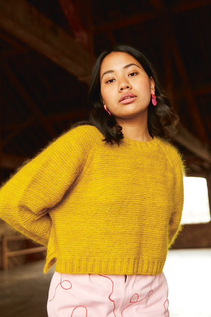 Ready Set Raglan by Pom Pom Publishing