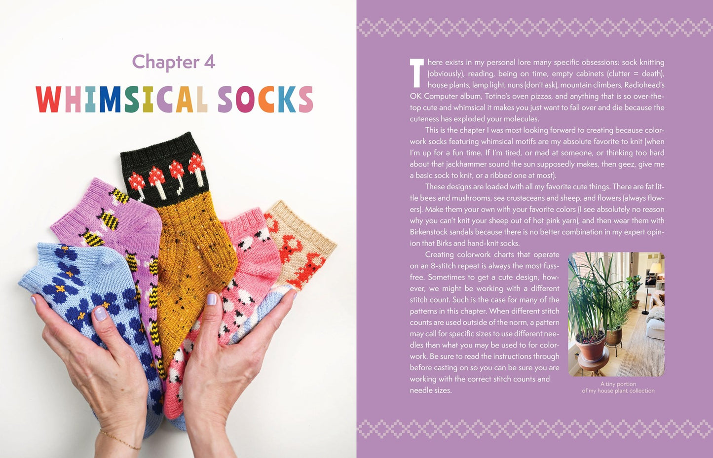 The Sock Obsession by Summer Lee