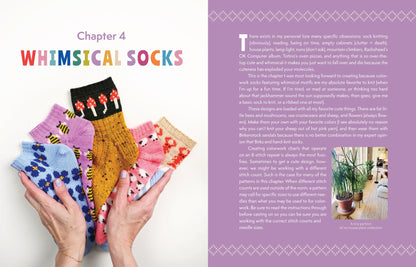 The Sock Obsession by Summer Lee